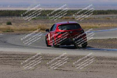 media/Oct-04-2025-OnGrid (Sat) [[44bd565ffa]]/Pink Group/Grapevine/